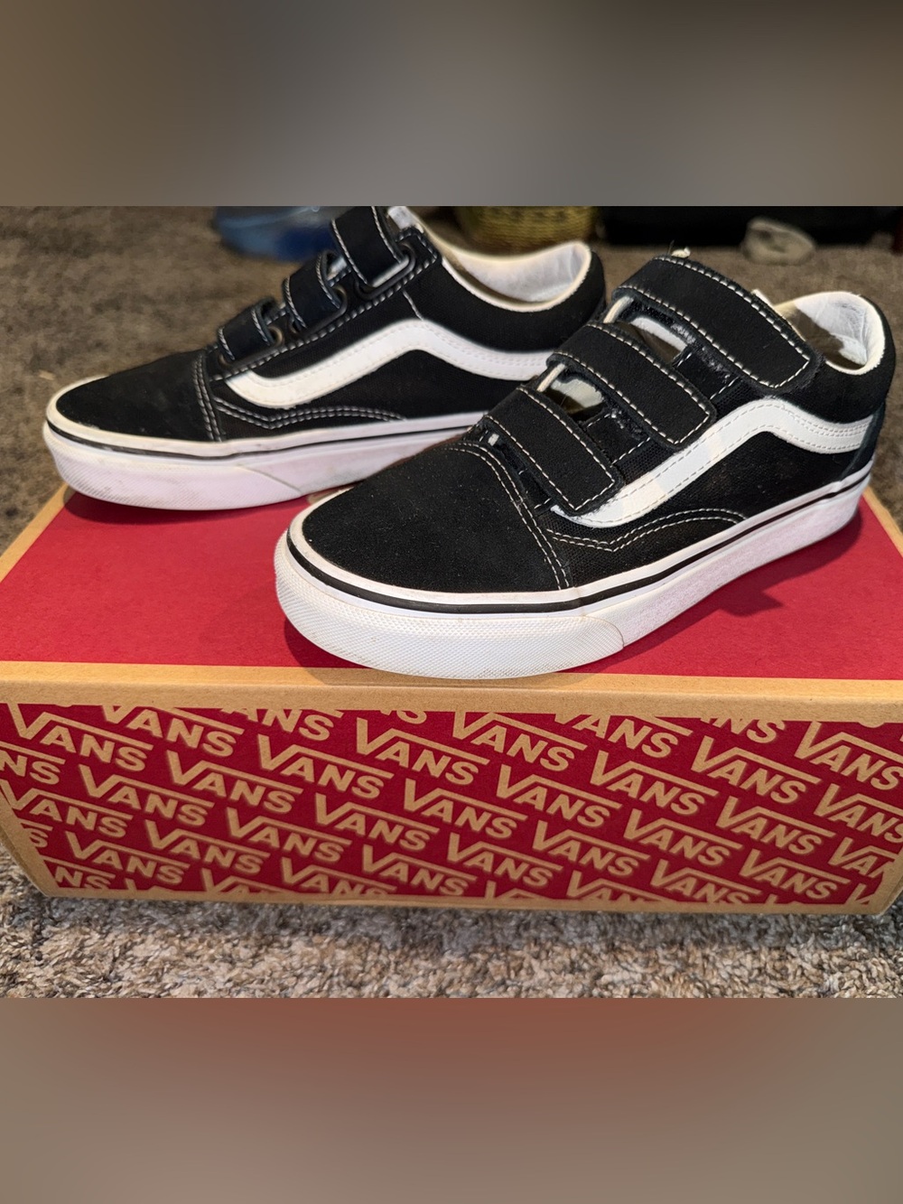 Vans Old Skool V shoe